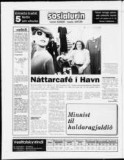 Síða 24