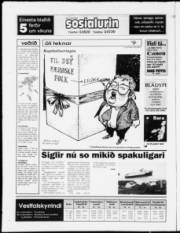 Síða 28