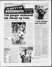 Síða 13