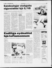 Síða 19