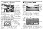 Síða 3