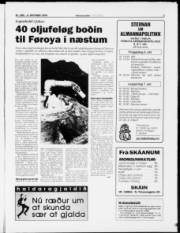 Síða 5