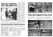 Síða 13