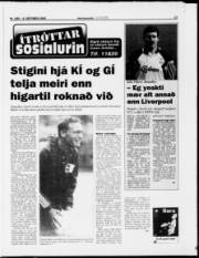 Síða 17