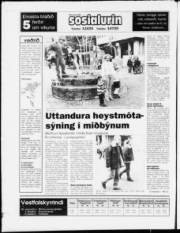 Síða 28