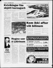 Síða 3