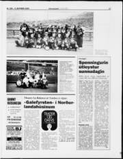 Síða 17