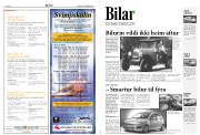 Síða 9
