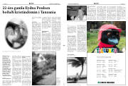 Síða 11