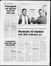 Síða 7