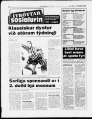 Síða 14