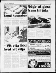 Síða 3