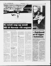 Síða 13