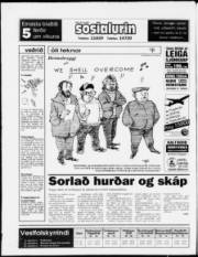 Síða 24