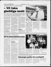 Síða 5