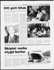 Síða 8