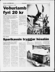 Síða 9