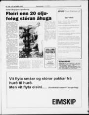 Síða 3