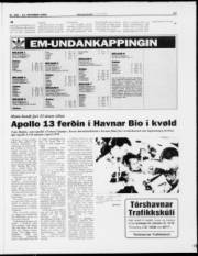 Síða 17