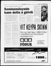 Síða 6
