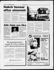 Síða 7
