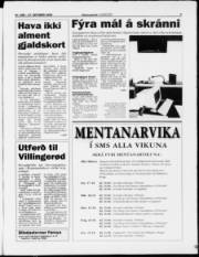 Síða 3
