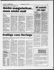 Síða 17