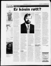 Síða 26