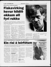 Síða 5