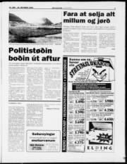 Síða 3