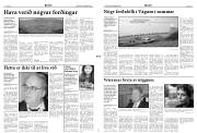 Síða 3