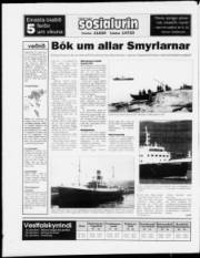 Síða 24