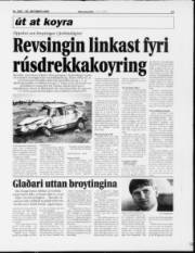Síða 13