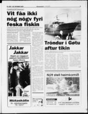 Síða 3