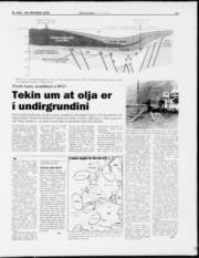 Síða 13