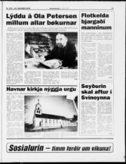 Síða 17