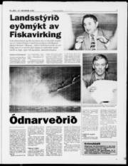 Síða 7