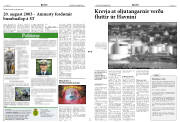 Síða 3