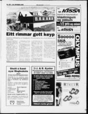 Síða 3