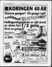 Síða 5