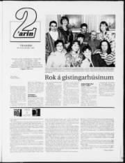 Síða 11