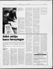 Síða 17