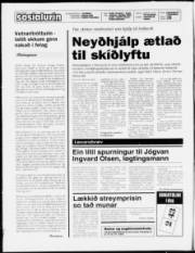 Síða 2