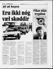 Síða 13