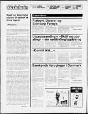 Síða 2