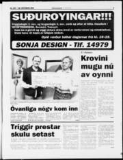Síða 3