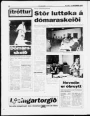 Síða 20
