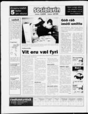 Síða 28