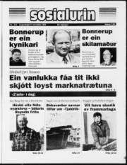 Síða 1