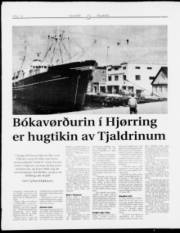 Síða 14